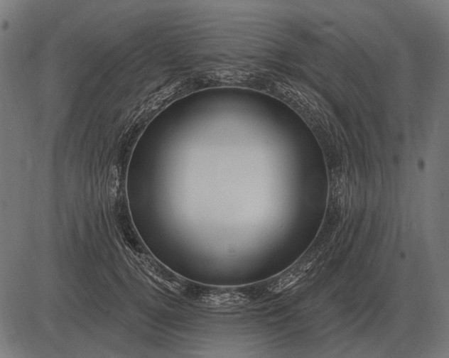 X0000082730752200702091837