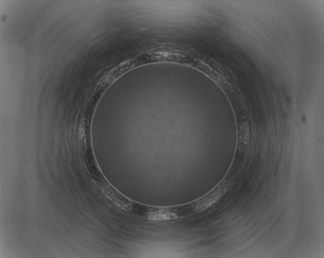 X0000082730754200702091837