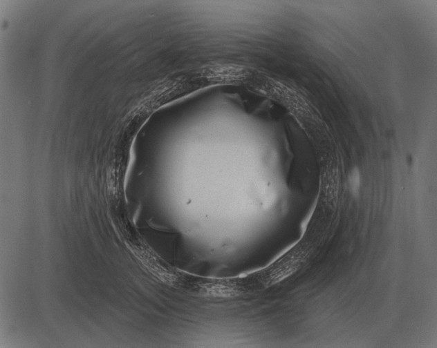 X0000082730755200702091837