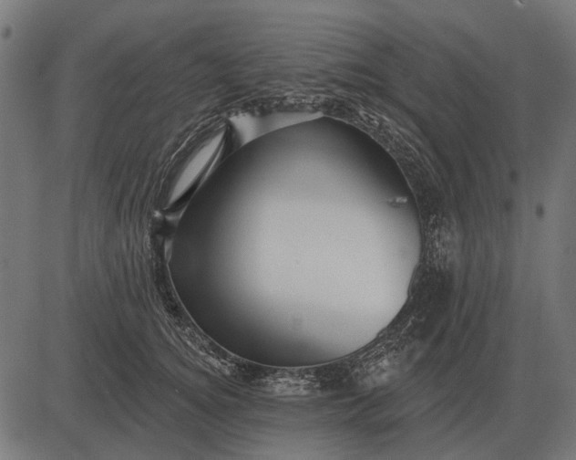 X0000082730756200702091837