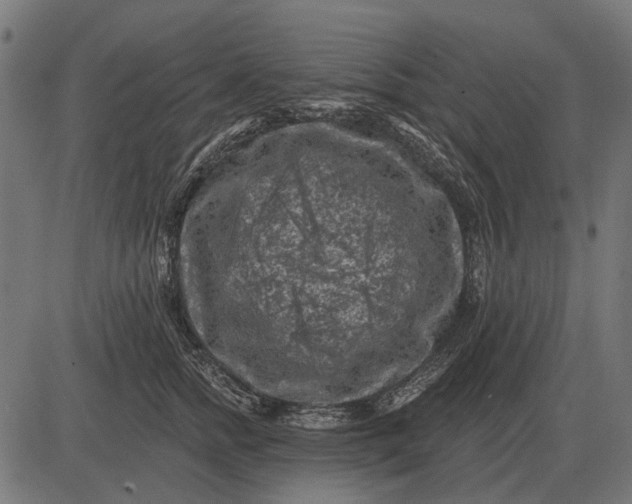 X0000082730758200702091837