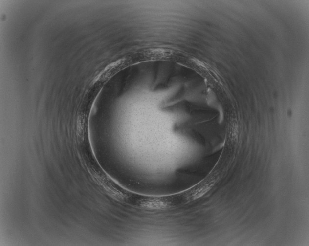 X0000082730759200702091837