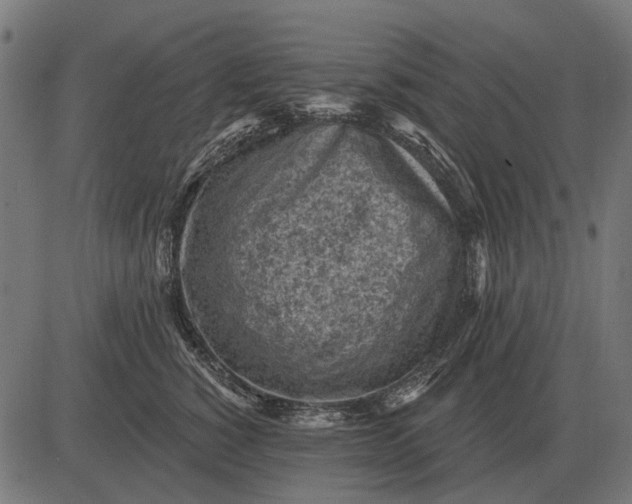 X0000082730760200702091837