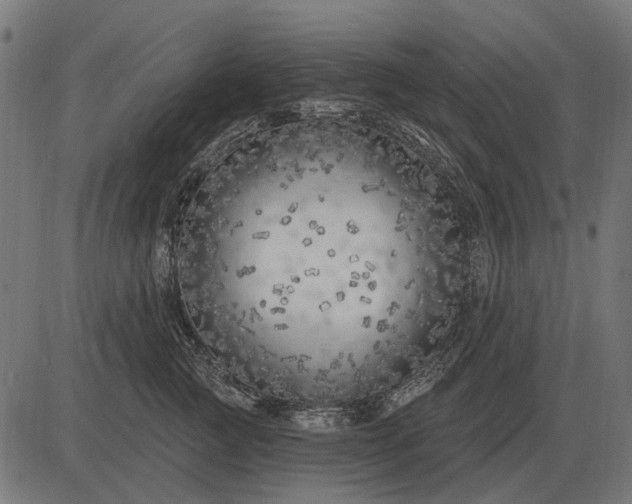 X0000082730761200702091837