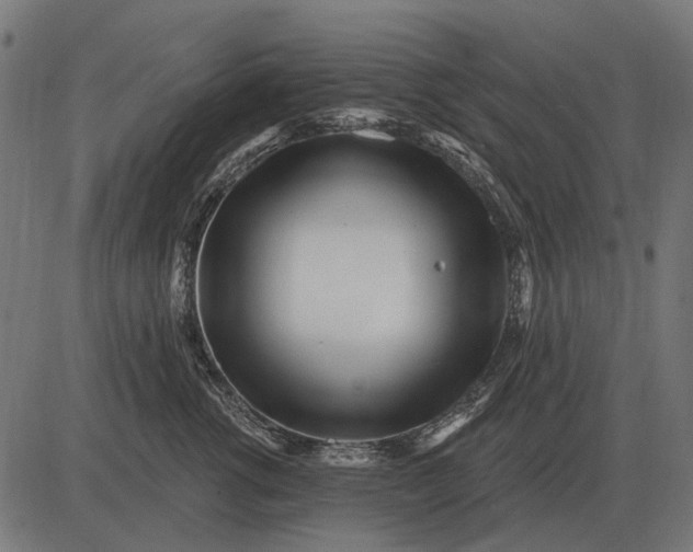 X0000082730762200702091837