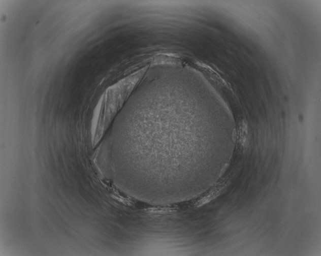 X0000082730763200702091837