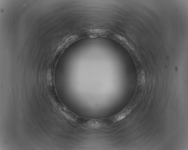 X0000082730764200702091837