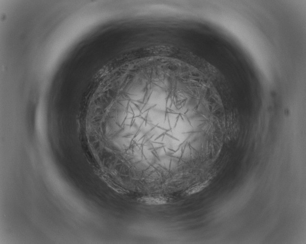 X0000082730765200702091837