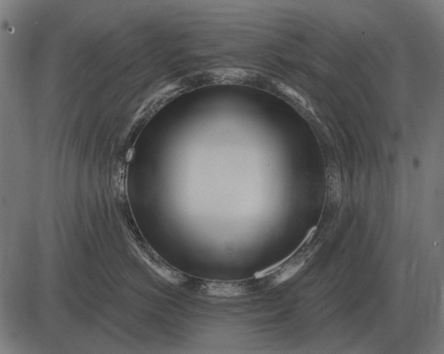 X0000082730766200702091837