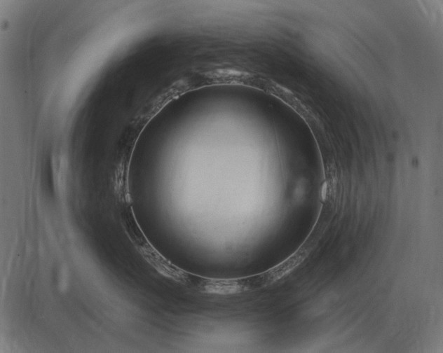 X0000082730767200702091837