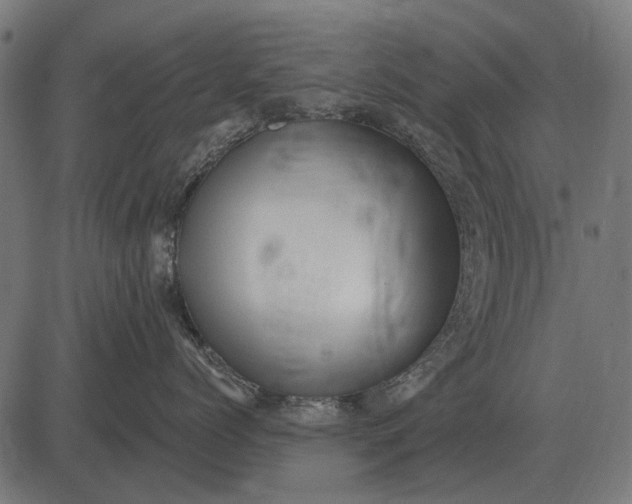 X0000082730768200702091837