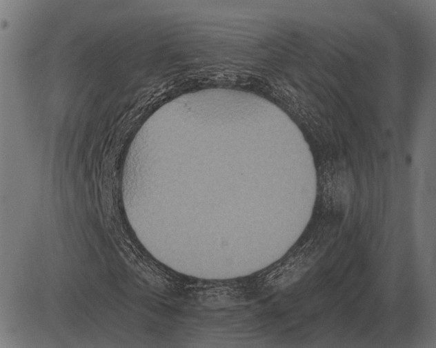 X0000082730769200702091837