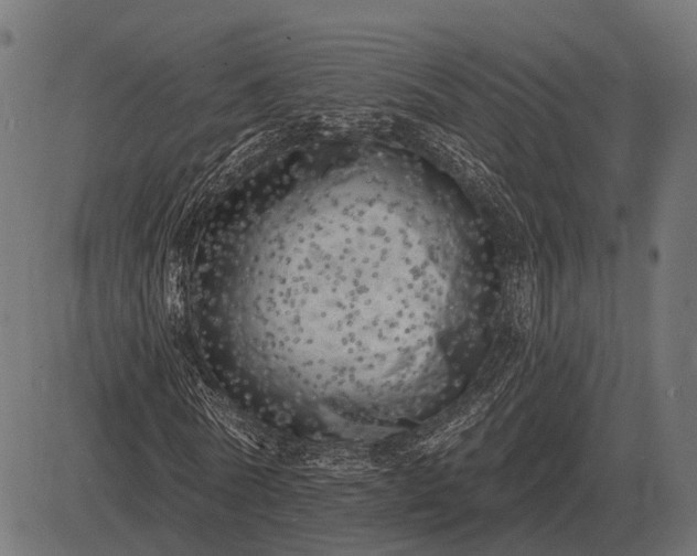 X0000082730770200702091837