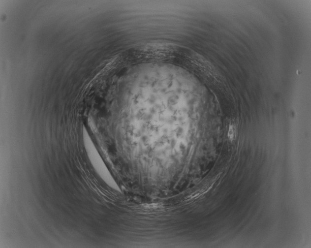 X0000082730771200702091837