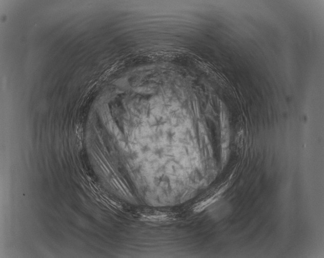 X0000082730772200702091837