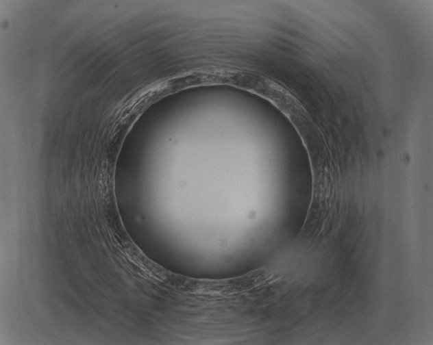 X0000082730773200702091837