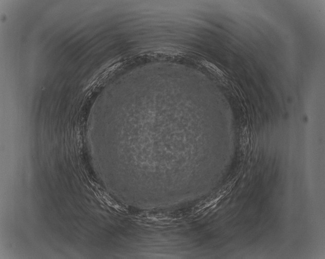 X0000082730774200702091837