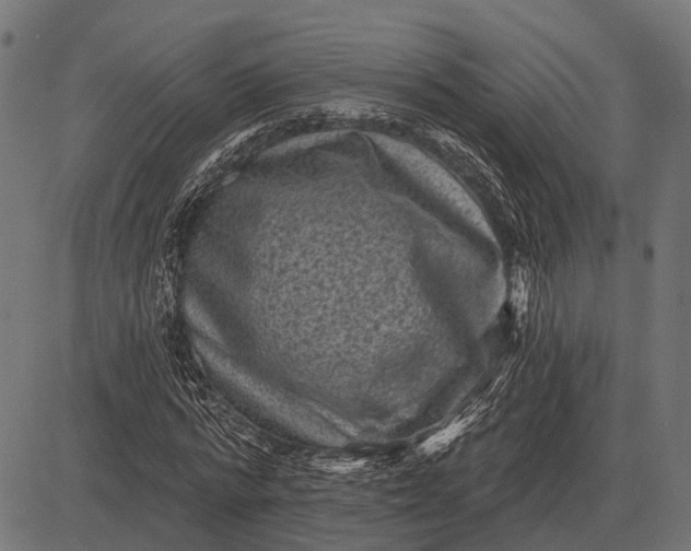 X0000082730776200702091837