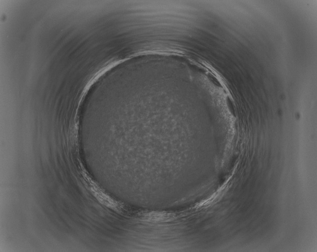 X0000082730779200702091836