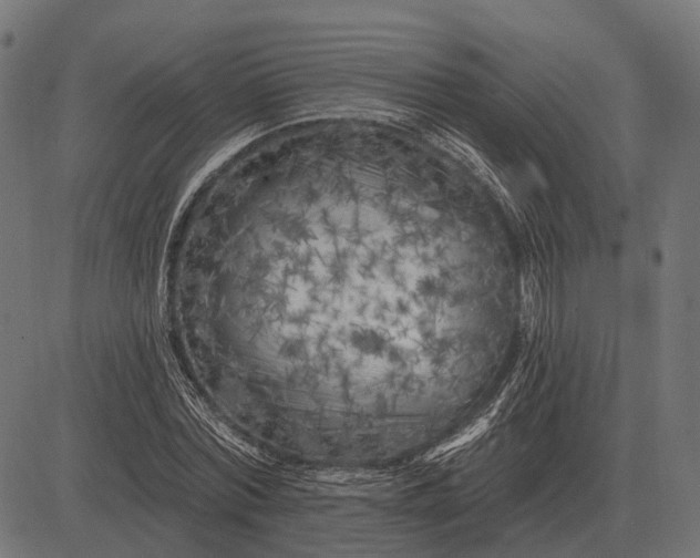 X0000082730780200702091836