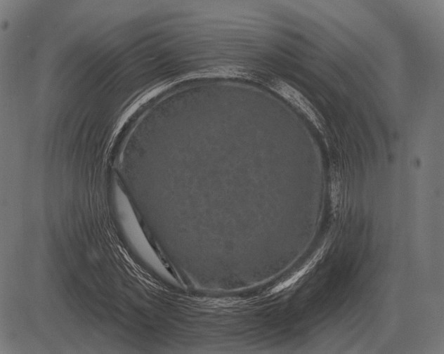 X0000082730781200702091836