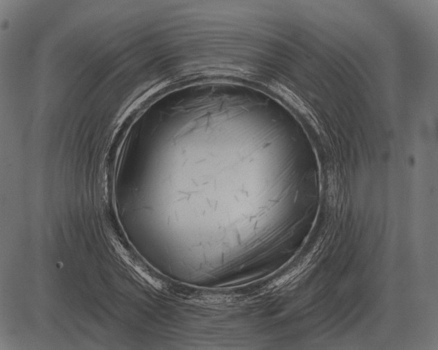 X0000082730782200702091836