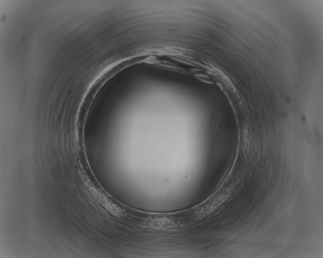 X0000082730784200702091836