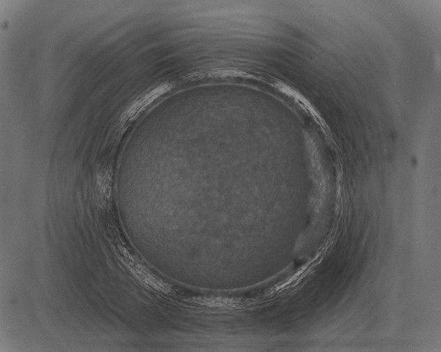 X0000082730785200702091836