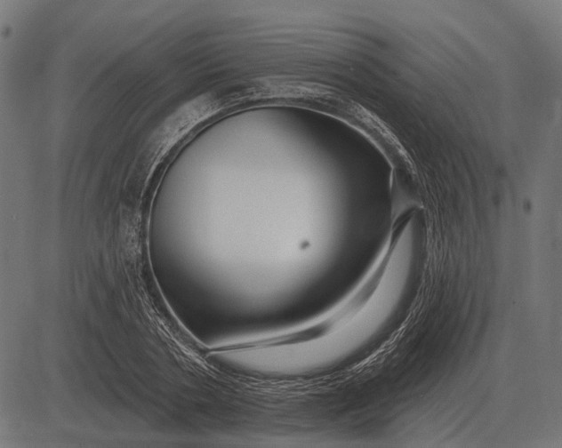 X0000082730786200702091836