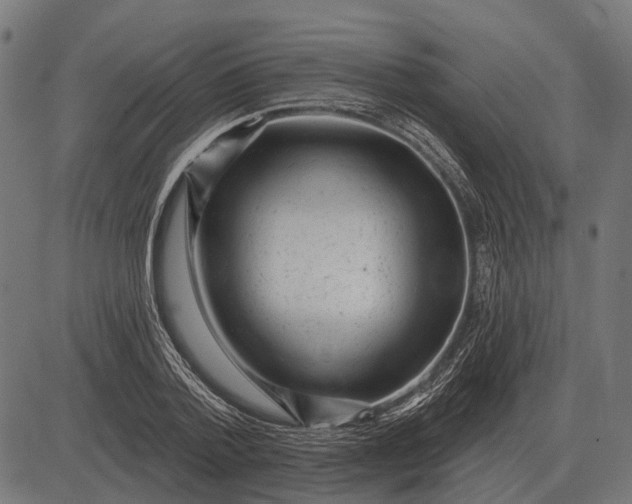 X0000082730788200702091836