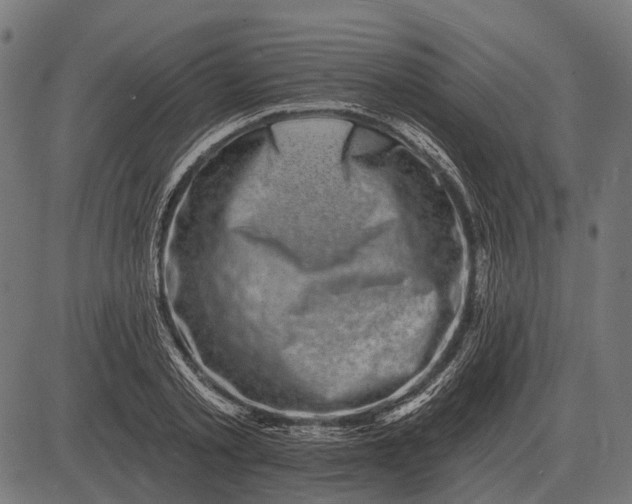 X0000082730789200702091836