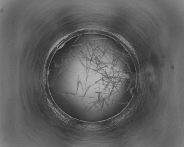 X0000082730791200702091836