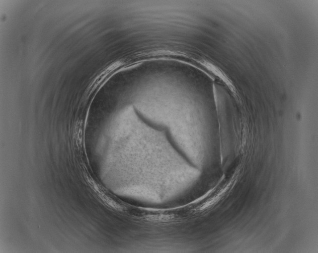 X0000082730793200702091836