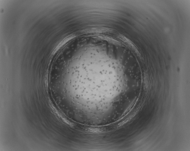 X0000082730794200702091836