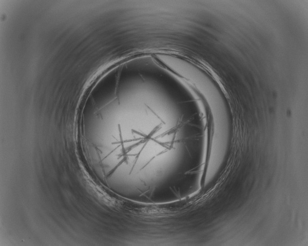 X0000082730795200702091836