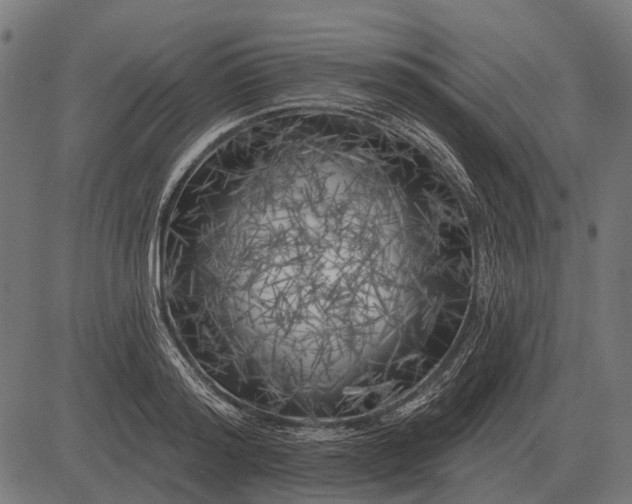 X0000082730796200702091836