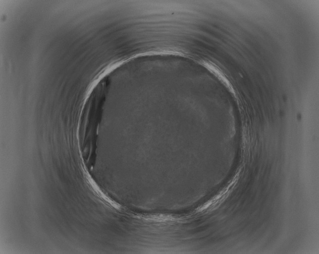 X0000082730797200702091836