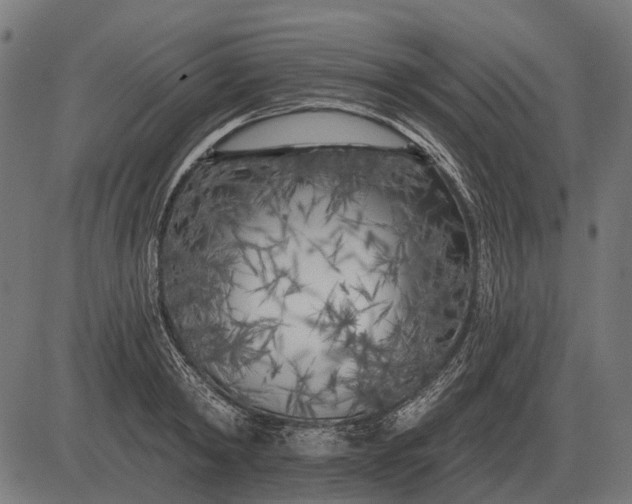 X0000082730798200702091836