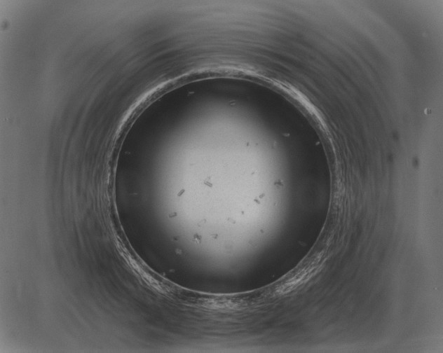 X0000082730799200702091836