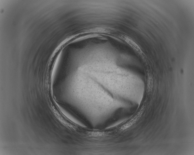 X0000082730800200702091836