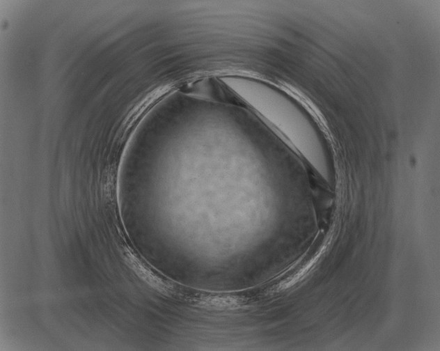 X0000082730801200702091836