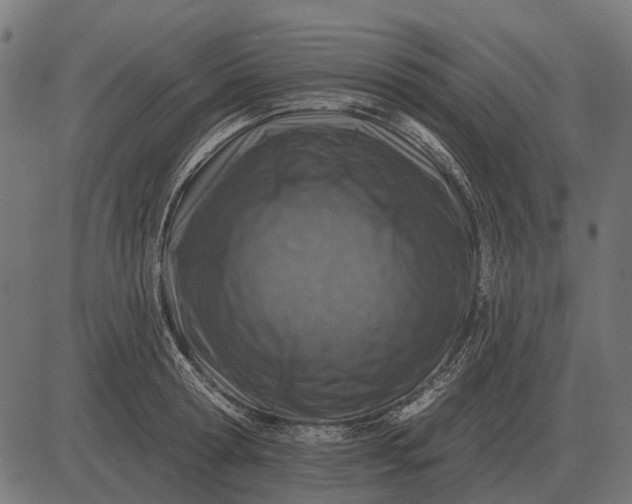 X0000082730802200702091836