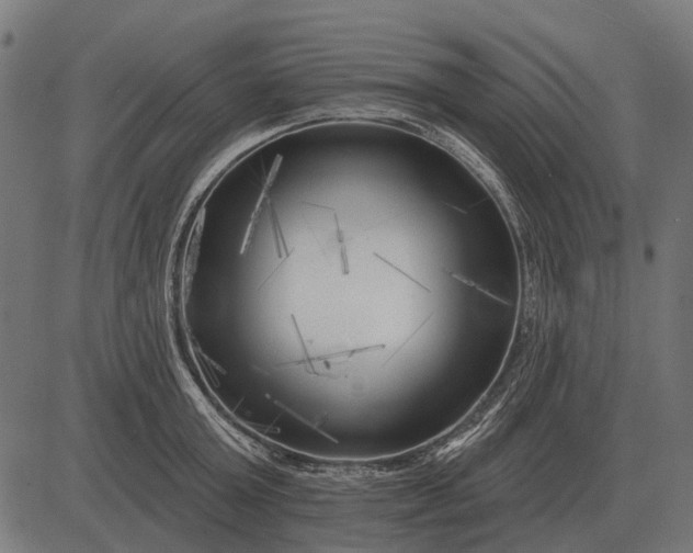 X0000082730803200702091836