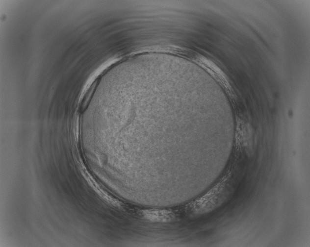 X0000082730804200702091836