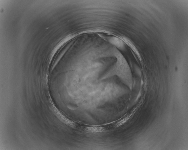 X0000082730805200702091836