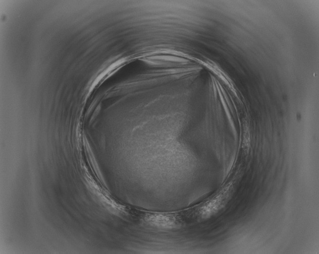 X0000082730806200702091836