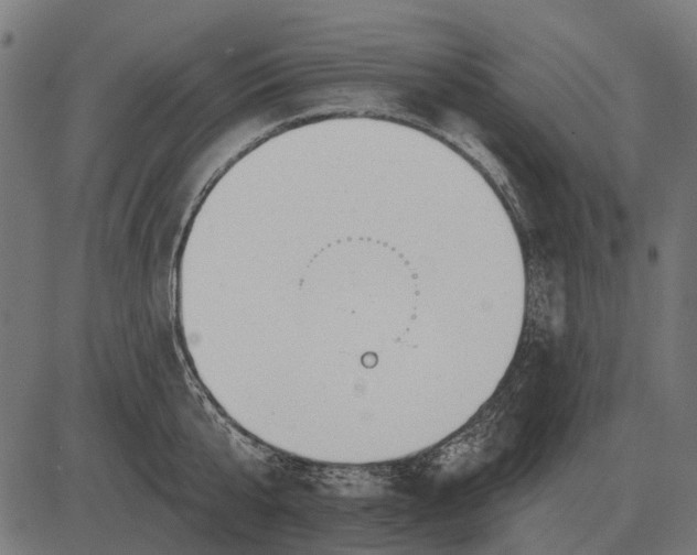 X0000082730807200702091836