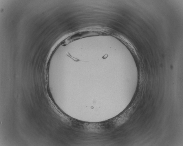 X0000082730808200702091836