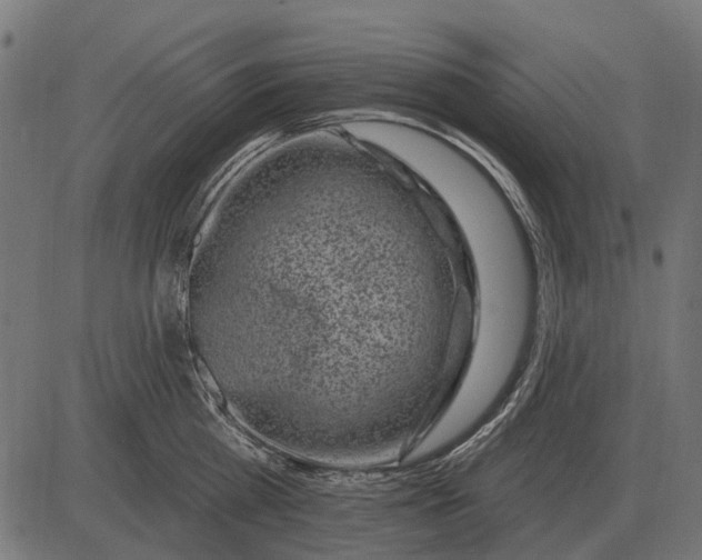 X0000082730809200702091836