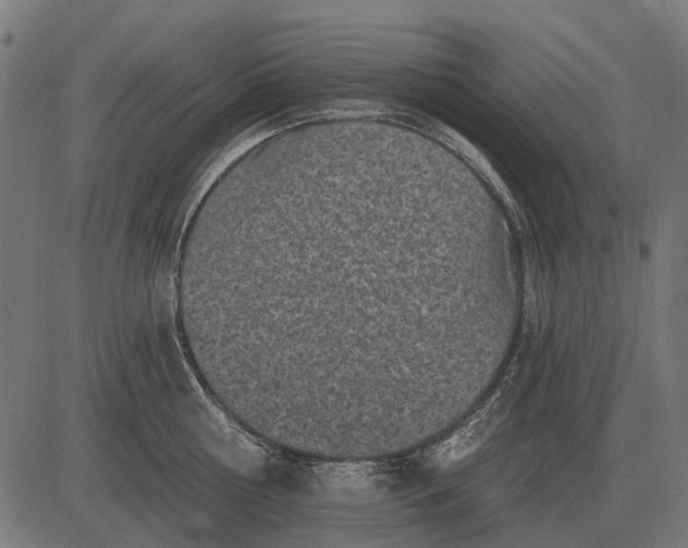 X0000082730810200702091836